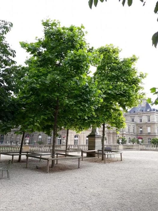 Une résistance durable